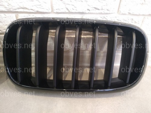 Решетка радиатора ноздри BMW X5 F15 / F16 2013-2018 2шт. Решетка радиатора ноздри BMW X5 F15 / F16 2013-2018 2шт.