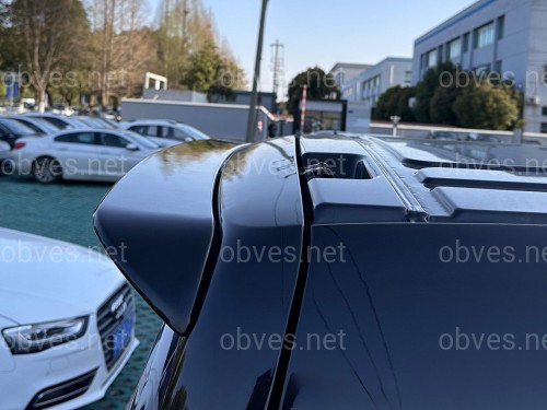 Спойлер на заднюю дверь ЛЯДА Mercedes Benz Vito W447 ABS пластик, цвет черный глянец