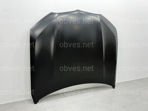 Капот алюминиевый BMW X5 G05 X5M F95 / X6 G06 X6M F96 2018- 41007492375