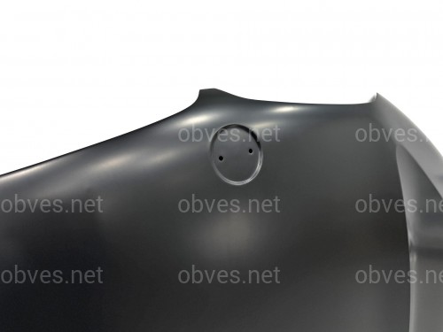 Капот алюминиевый BMW X5 G05 X5M F95 / X6 G06 X6M F96 2018- 41007492375