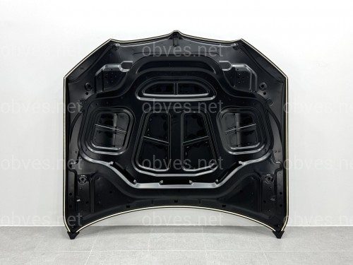 Капот алюминиевый BMW X5 G05 X5M F95 / X6 G06 X6M F96 2018- 41007492375