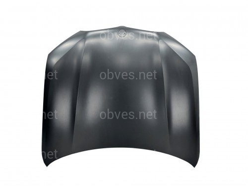 Капот алюминиевый BMW X5 G05 X5M F95 / X6 G06 X6M F96 2018- 41007492375